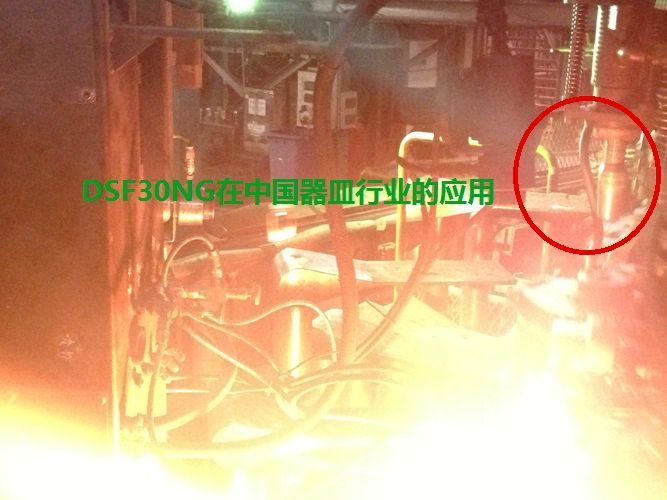 DSF30NG在中國器皿玻璃行業(yè)的應(yīng)用