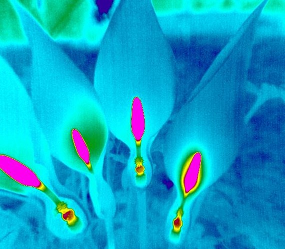 PYROVIEW����xʹ�a(ch��n)���^(gu��)��׃�ÿ�Ҋ(ji��n)